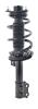 1333504L Suspension Strut and Coil Spring Assembly - image 1