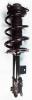 1333505R Suspension Strut and Coil Spring Assembly - image 1