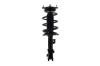1333509L Suspension Strut and Coil Spring Assembly - image 1