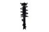1333509R Suspension Strut and Coil Spring Assembly - image 1