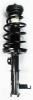 1333515R Suspension Strut and Coil Spring Assembly - image 1