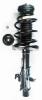 1333523R Suspension Strut and Coil Spring Assembly - image 1
