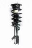 1333529L Suspension Strut and Coil Spring Assembly - image 1