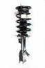 1333529R Suspension Strut and Coil Spring Assembly - image 1