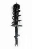 1333533L Suspension Strut and Coil Spring Assembly - image 1