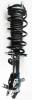 1333534R Suspension Strut and Coil Spring Assembly - image 1