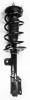 1333549R Suspension Strut and Coil Spring Assembly - image 1