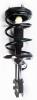 1333557L Suspension Strut and Coil Spring Assembly - image 1