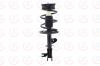 1333564L Suspension Strut and Coil Spring Assembly - image 1