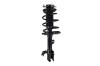 1333566L Suspension Strut and Coil Spring Assembly - image 1