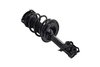 1333566L Suspension Strut and Coil Spring Assembly - image 2