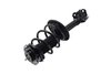1333566L Suspension Strut and Coil Spring Assembly - image 3