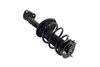 1333566L Suspension Strut and Coil Spring Assembly - image 4