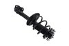 1333566R Suspension Strut and Coil Spring Assembly - image 4