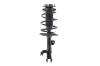 1333567L Suspension Strut and Coil Spring Assembly - image 1