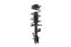 1333572L Suspension Strut and Coil Spring Assembly - image 1