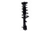 1333582L Suspension Strut and Coil Spring Assembly - image 1