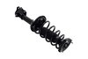 1333582R Suspension Strut and Coil Spring Assembly - image 4