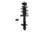 1333585R Suspension Strut and Coil Spring Assembly - image 1