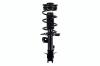 1333591R Suspension Strut and Coil Spring Assembly - image 1