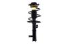 1333701L Suspension Strut and Coil Spring Assembly - image 1