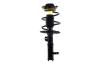 1333701R Suspension Strut and Coil Spring Assembly - image 1