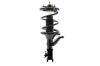 1333702L Suspension Strut and Coil Spring Assembly - image 1