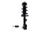 1333710L Suspension Strut and Coil Spring Assembly - image 1