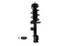1333710R Suspension Strut and Coil Spring Assembly - image 1