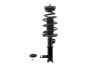 1333713L Suspension Strut and Coil Spring Assembly - image 1