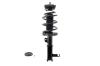 1333714R Suspension Strut and Coil Spring Assembly - image 1