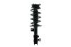 1333715R Suspension Strut and Coil Spring Assembly - image 1
