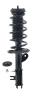 1333716L Suspension Strut and Coil Spring Assembly - image 1