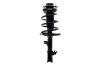 1333718R Suspension Strut and Coil Spring Assembly - image 1