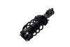 1333725L Suspension Strut and Coil Spring Assembly - image 3