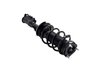 1333725L Suspension Strut and Coil Spring Assembly - image 4