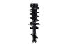 1333725R Suspension Strut and Coil Spring Assembly - image 1