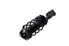 1333725R Suspension Strut and Coil Spring Assembly - image 3