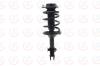 1333749L Suspension Strut and Coil Spring Assembly - image 1