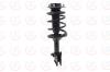 1333749R Suspension Strut and Coil Spring Assembly - image 1