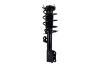 1333750 Suspension Strut and Coil Spring Assembly - image 1