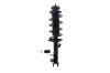 1333751R Suspension Strut and Coil Spring Assembly - image 1