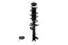 1333752L Suspension Strut and Coil Spring Assembly - image 1