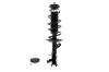 1333752R Suspension Strut and Coil Spring Assembly - image 1