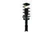 1333761 Suspension Strut and Coil Spring Assembly - image 1