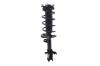 1333790R Suspension Strut and Coil Spring Assembly - image 1