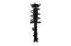 1333800R Suspension Strut and Coil Spring Assembly - image 1