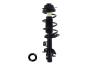 1333823L Suspension Strut and Coil Spring Assembly - image 1