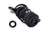 1333823L Suspension Strut and Coil Spring Assembly - image 4
