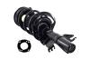 1333823R Suspension Strut and Coil Spring Assembly - image 1